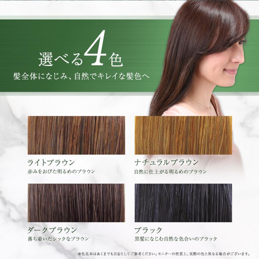 Sastty Rishiri Hair Color Treatment for Gray Hair